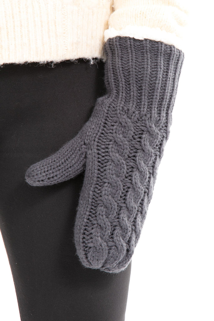 Dark Gray - Cozy Lined Mittens